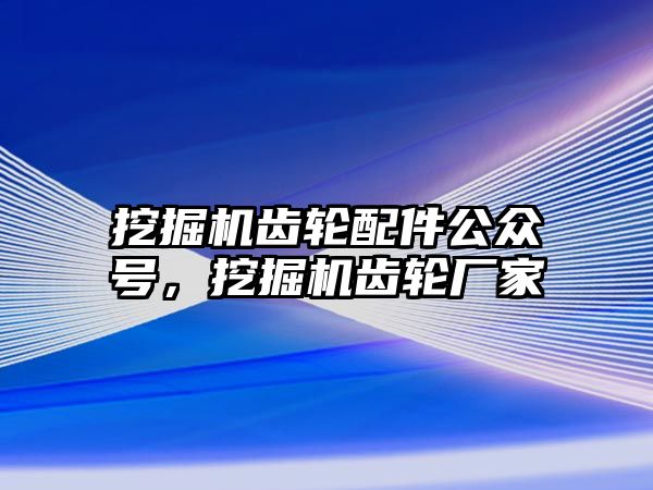 挖掘機齒輪配件公眾號，挖掘機齒輪廠家