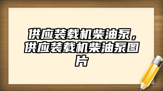 供應(yīng)裝載機(jī)柴油泵，供應(yīng)裝載機(jī)柴油泵圖片