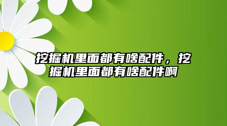 挖掘機里面都有啥配件，挖掘機里面都有啥配件啊