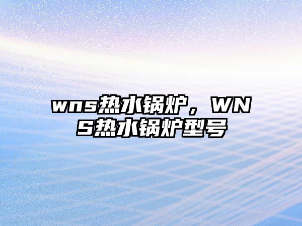 wns熱水鍋爐，WNS熱水鍋爐型號