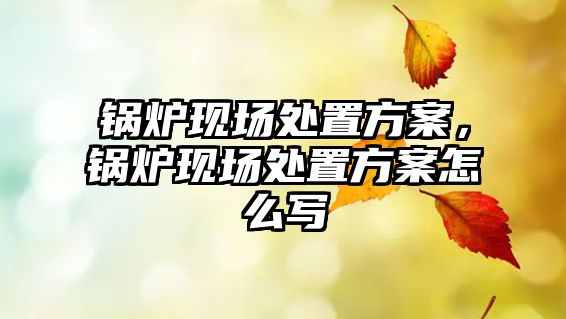 鍋爐現(xiàn)場處置方案，鍋爐現(xiàn)場處置方案怎么寫