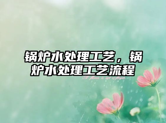 鍋爐水處理工藝，鍋爐水處理工藝流程