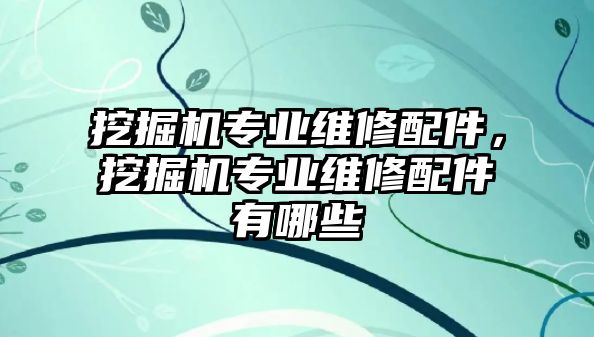 挖掘機專業(yè)維修配件，挖掘機專業(yè)維修配件有哪些