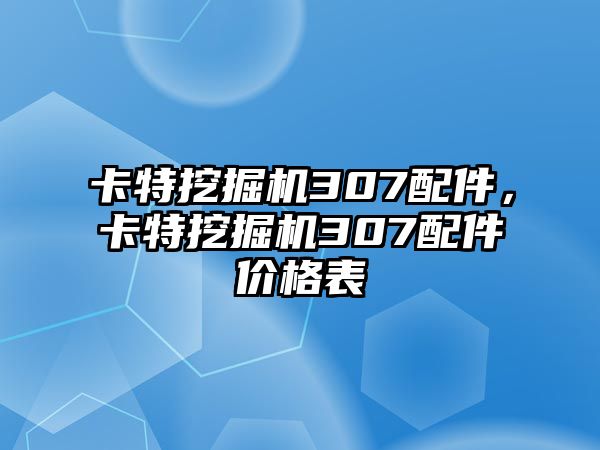 卡特挖掘機307配件，卡特挖掘機307配件價格表