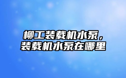 柳工裝載機水泵，裝載機水泵在哪里