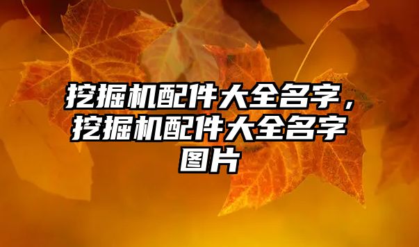 挖掘機配件大全名字，挖掘機配件大全名字圖片