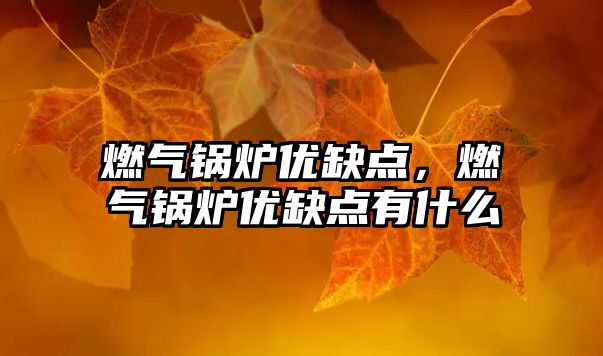 燃?xì)忮仩t優(yōu)缺點，燃?xì)忮仩t優(yōu)缺點有什么