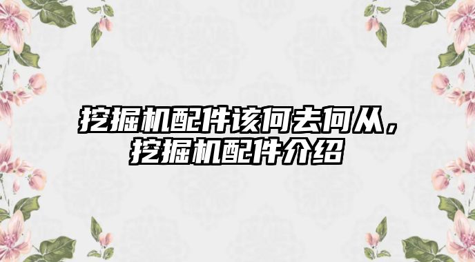 挖掘機(jī)配件該何去何從，挖掘機(jī)配件介紹