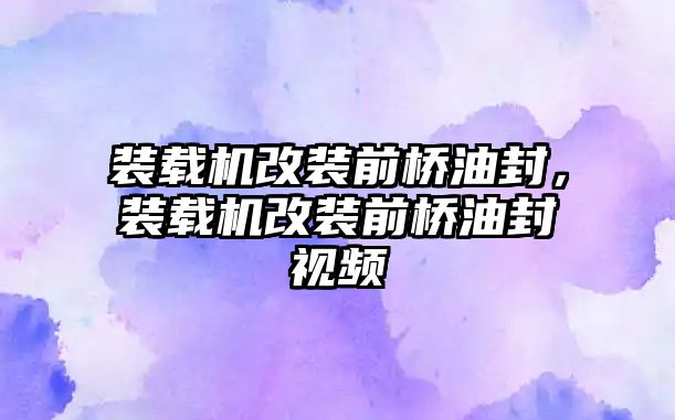 裝載機(jī)改裝前橋油封，裝載機(jī)改裝前橋油封視頻