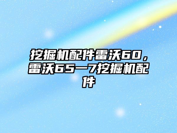 挖掘機(jī)配件雷沃60，雷沃65一7挖掘機(jī)配件