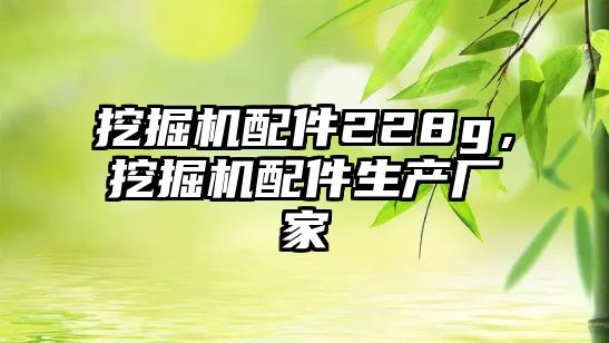 挖掘機配件228g，挖掘機配件生產(chǎn)廠家