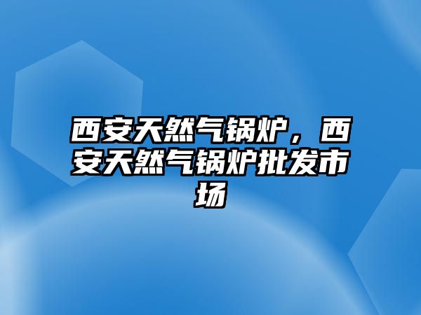 西安天然氣鍋爐，西安天然氣鍋爐批發(fā)市場(chǎng)