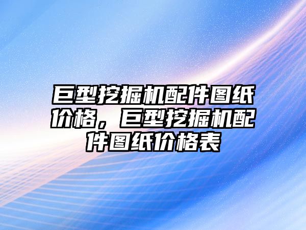 巨型挖掘機配件圖紙價格，巨型挖掘機配件圖紙價格表