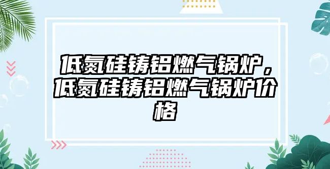 低氮硅鑄鋁燃?xì)忮仩t，低氮硅鑄鋁燃?xì)忮仩t價格