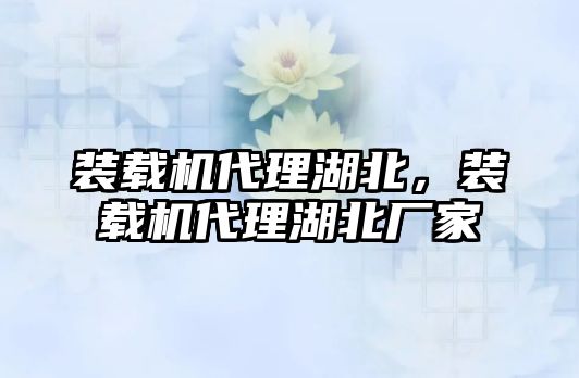 裝載機代理湖北，裝載機代理湖北廠家