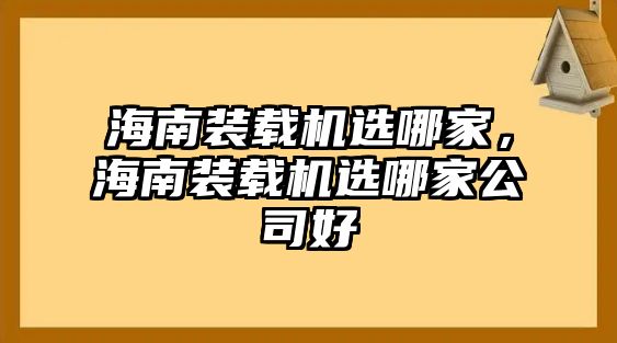 海南裝載機選哪家，海南裝載機選哪家公司好