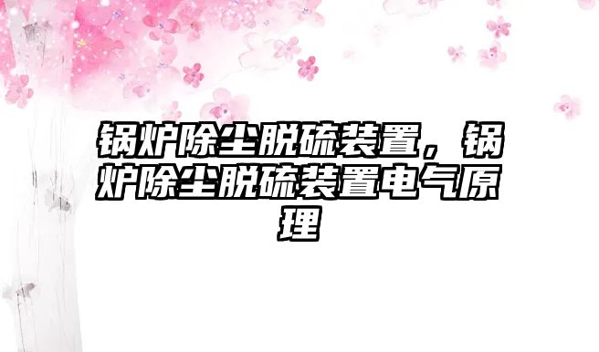 鍋爐除塵脫硫裝置，鍋爐除塵脫硫裝置電氣原理