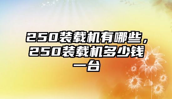 250裝載機有哪些，250裝載機多少錢一臺