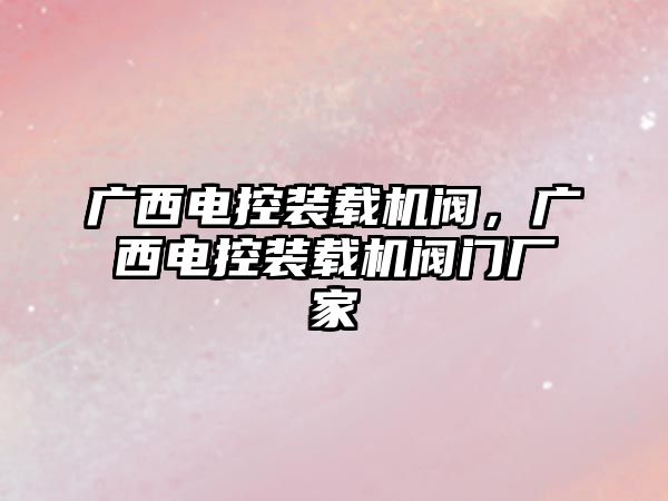 廣西電控裝載機閥，廣西電控裝載機閥門廠家