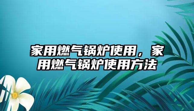 家用燃?xì)忮仩t使用，家用燃?xì)忮仩t使用方法