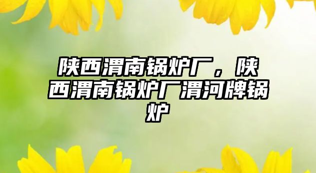 陜西渭南鍋爐廠，陜西渭南鍋爐廠渭河牌鍋爐