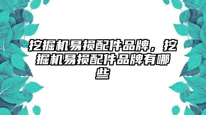 挖掘機易損配件品牌，挖掘機易損配件品牌有哪些