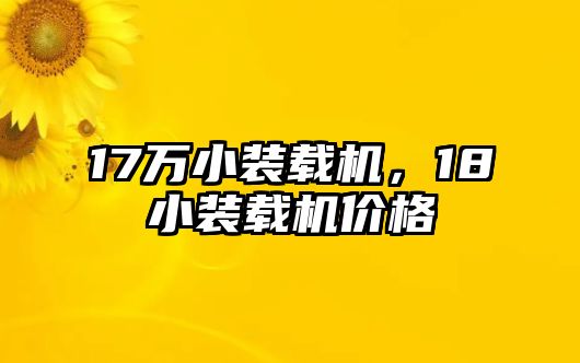 17萬小裝載機，18小裝載機價格