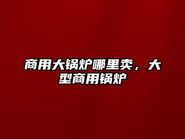 商用大鍋爐哪里賣，大型商用鍋爐