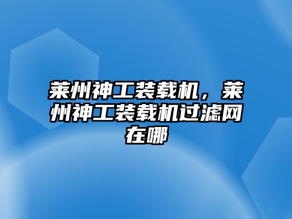 萊州神工裝載機，萊州神工裝載機過濾網(wǎng)在哪