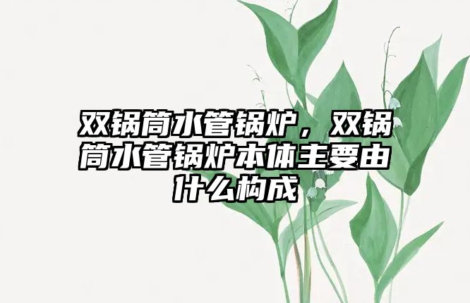 雙鍋筒水管鍋爐，雙鍋筒水管鍋爐本體主要由什么構(gòu)成