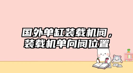 國外單缸裝載機(jī)閥，裝載機(jī)單向閥位置