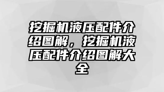 挖掘機(jī)液壓配件介紹圖解，挖掘機(jī)液壓配件介紹圖解大全