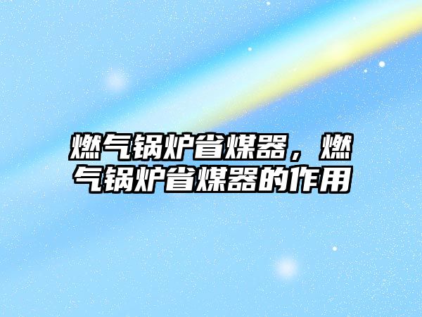 燃?xì)忮仩t省煤器，燃?xì)忮仩t省煤器的作用