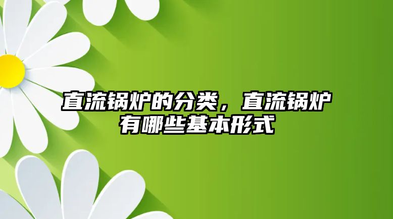 直流鍋爐的分類，直流鍋爐有哪些基本形式