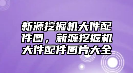 新源挖掘機大件配件圖，新源挖掘機大件配件圖片大全