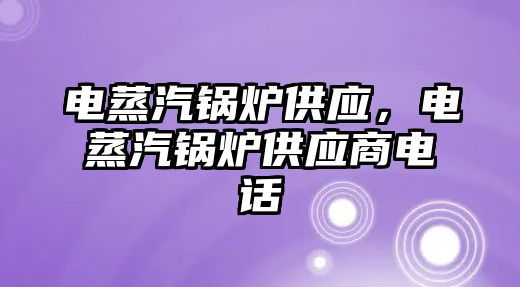 電蒸汽鍋爐供應(yīng)，電蒸汽鍋爐供應(yīng)商電話