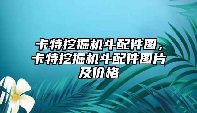 卡特挖掘機斗配件圖，卡特挖掘機斗配件圖片及價格