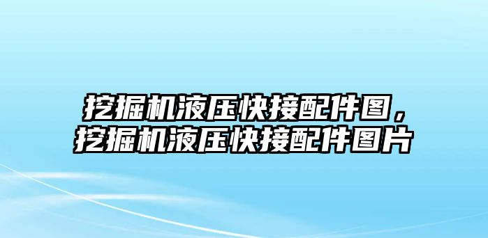 挖掘機液壓快接配件圖，挖掘機液壓快接配件圖片