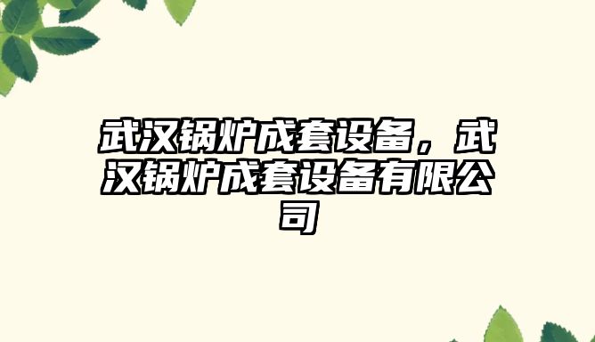 武漢鍋爐成套設(shè)備，武漢鍋爐成套設(shè)備有限公司