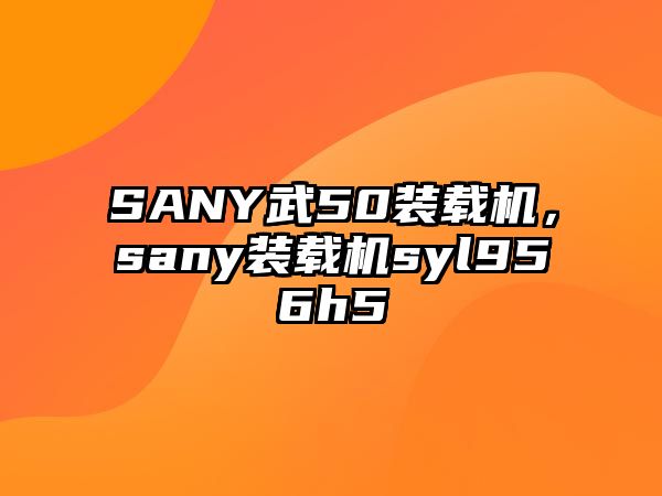 SANY武50裝載機(jī)，sany裝載機(jī)syl956h5