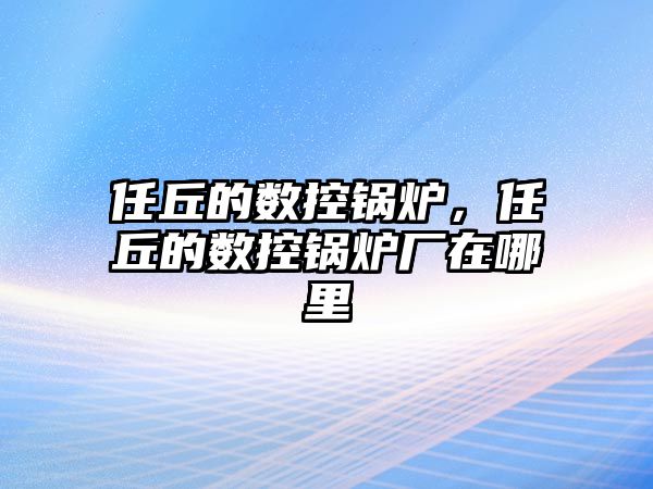 任丘的數(shù)控鍋爐，任丘的數(shù)控鍋爐廠在哪里