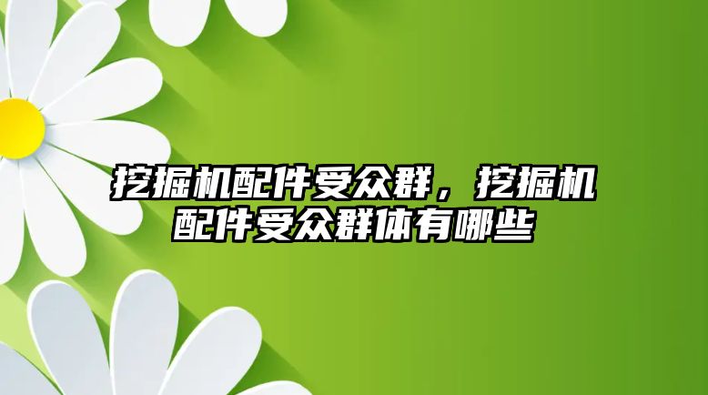 挖掘機配件受眾群，挖掘機配件受眾群體有哪些