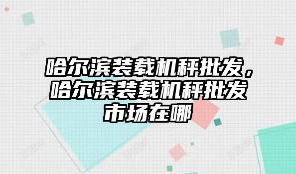 哈爾濱裝載機(jī)秤批發(fā)，哈爾濱裝載機(jī)秤批發(fā)市場(chǎng)在哪