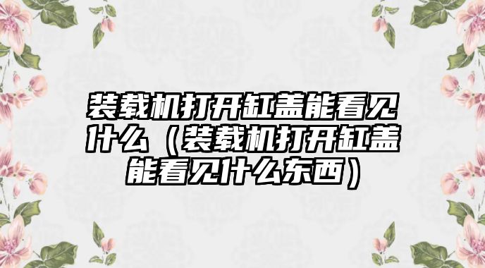 裝載機(jī)打開缸蓋能看見什么（裝載機(jī)打開缸蓋能看見什么東西）