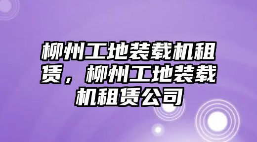 柳州工地裝載機租賃，柳州工地裝載機租賃公司