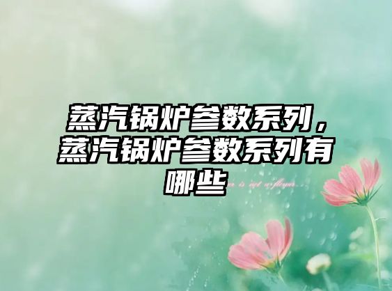 蒸汽鍋爐參數(shù)系列，蒸汽鍋爐參數(shù)系列有哪些