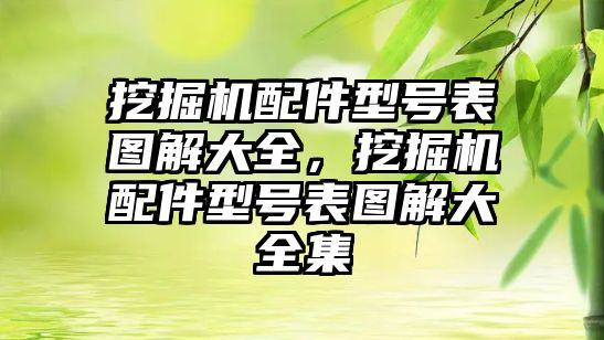 挖掘機配件型號表圖解大全，挖掘機配件型號表圖解大全集