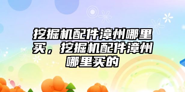 挖掘機配件漳州哪里買，挖掘機配件漳州哪里買的