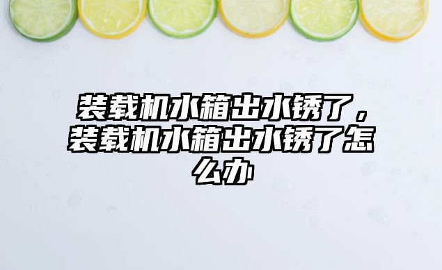 裝載機水箱出水銹了，裝載機水箱出水銹了怎么辦