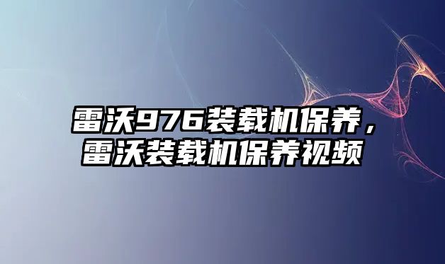 雷沃976裝載機保養(yǎng)，雷沃裝載機保養(yǎng)視頻